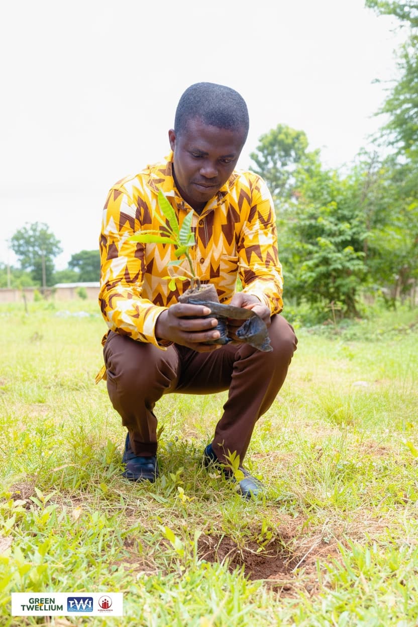 Tree gift impact program